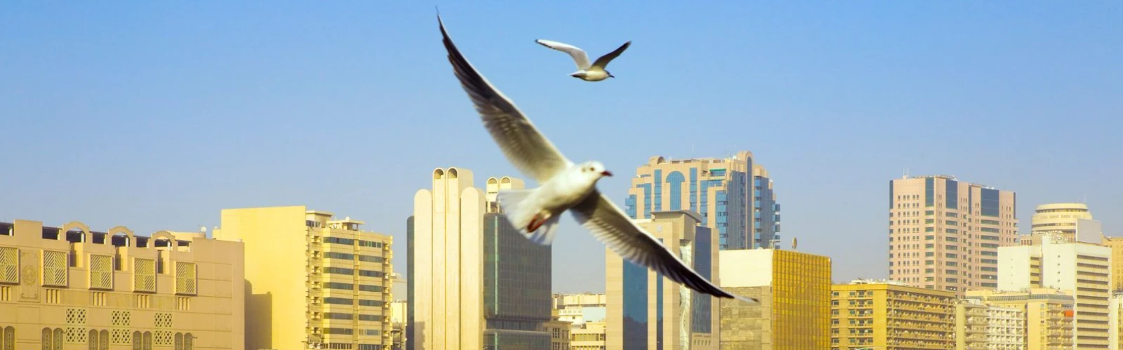 Old Dubai vs. New Dubai: A Contrast of History and Futuristic Skyline